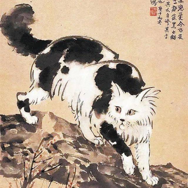 艺事| 那些猫记录了徐悲鸿和他的朋友们_搜狐网