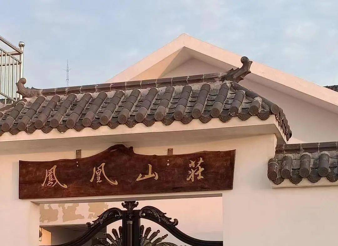 白鹭岛国家森林公园→孔雀寺→宝山千年银杏树→石界碑古民居→龙窝寺