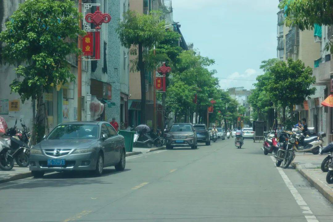 看看这次上榜的有哪些→_市民_达濠街道_车辆