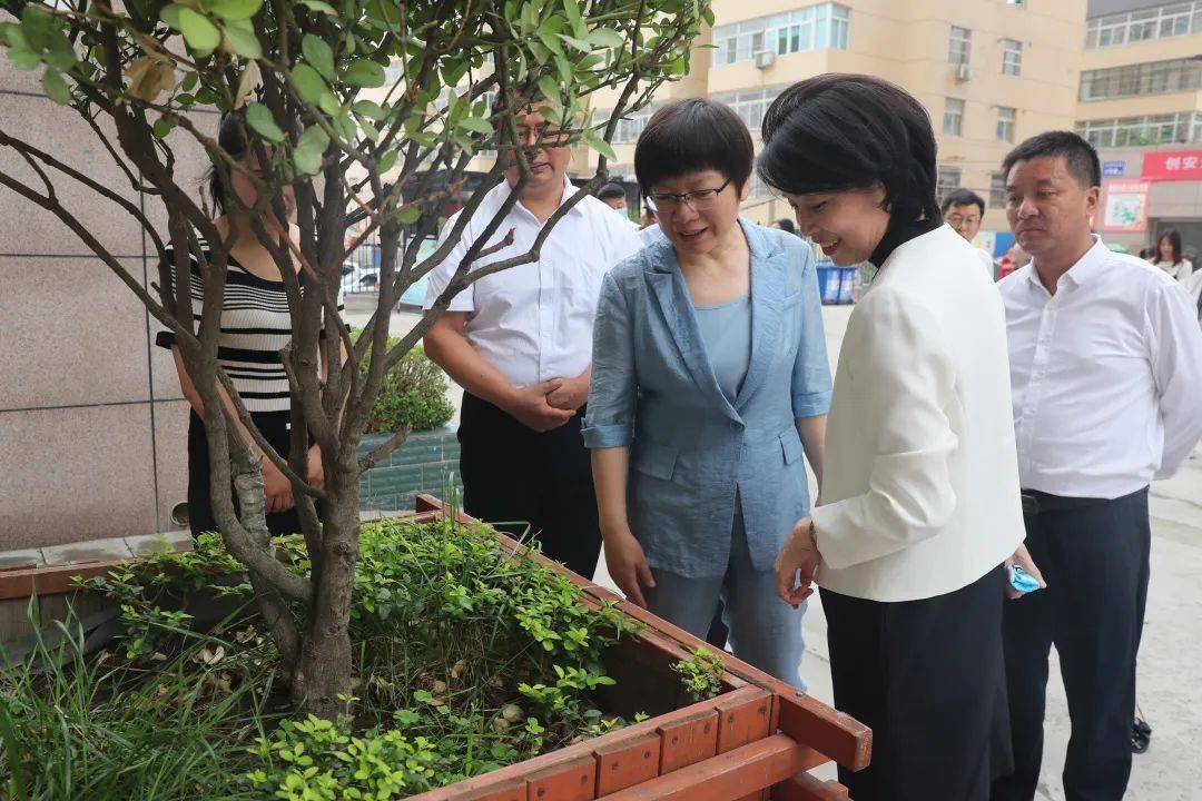 雷颖检查全国文明城市国家卫生城市巩固提升和自建房安全专项整治工作