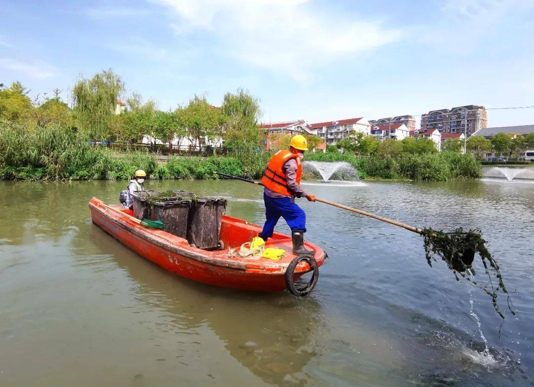 「高温下」河面的水烫啊烫,他们为河道保洁忙_洪宜才_工作_长宁