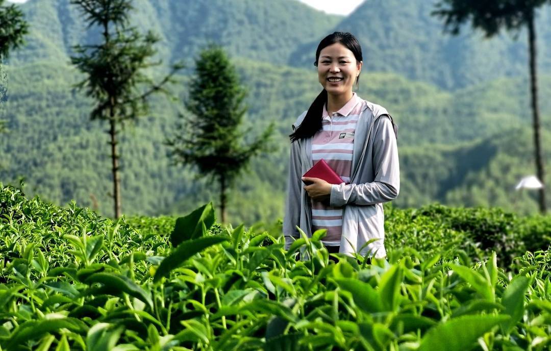 第一书记许馨月背着奶娃娃去驻村丨在希望的田野上