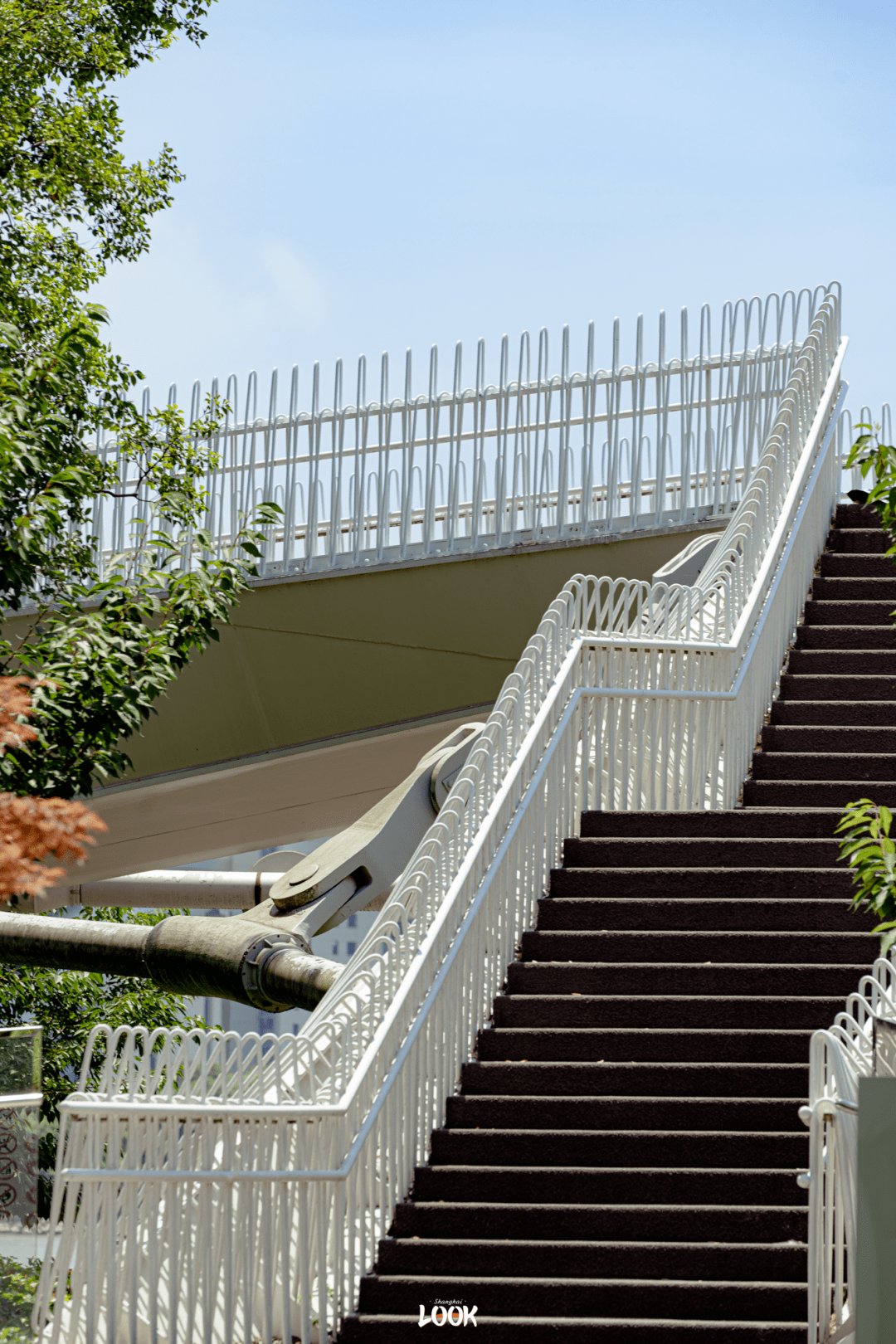 look上海最美楼梯都在哪