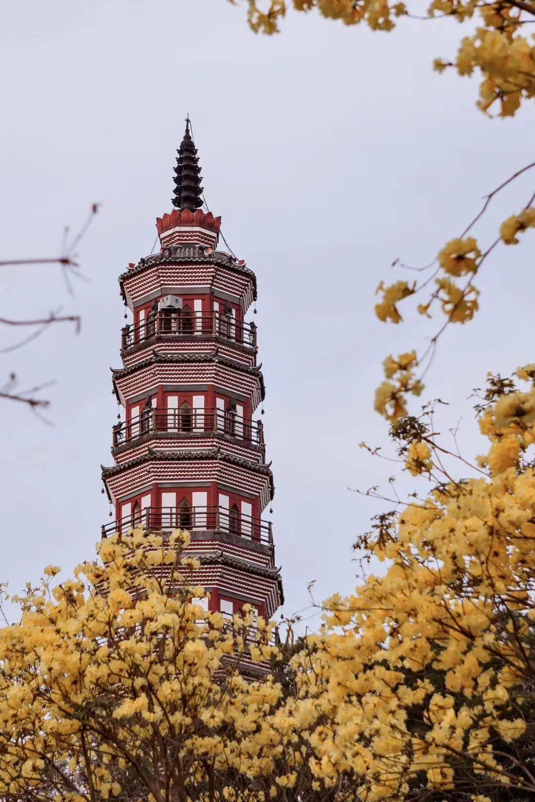 独家定制一日游来顺德不去这些地方我会伤心的ok