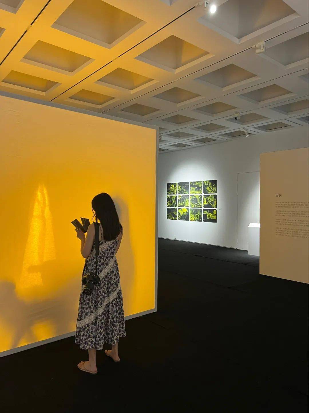 "它们——徐梓x杨雨彤摄影展"正在燕晗高地展出_展览_艺术_人类