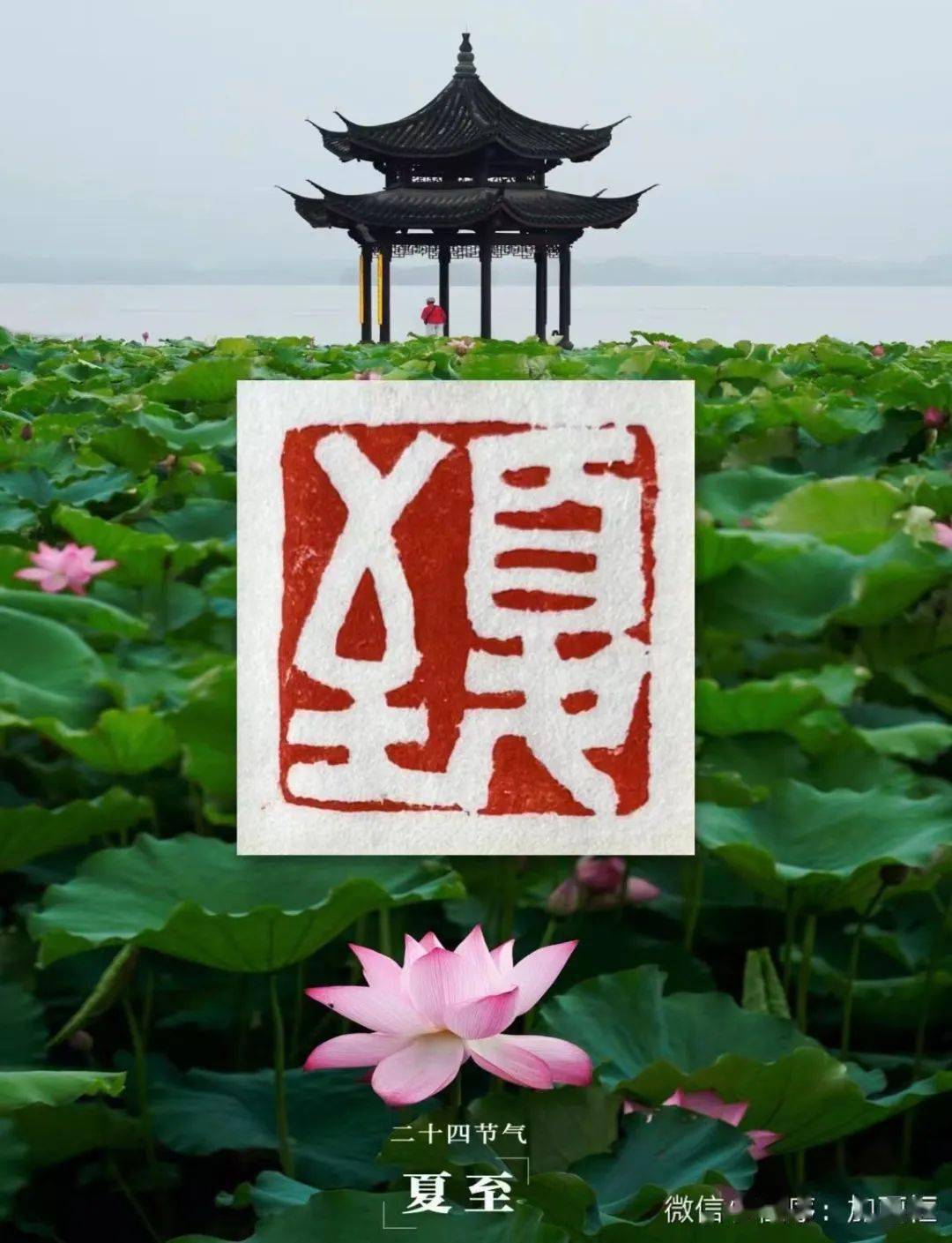 篆刻训练营02期24节气创作