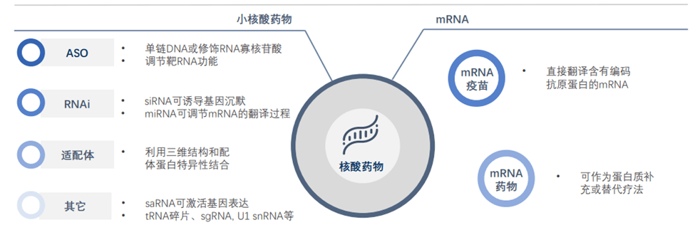 寡核苷酸的纯化策略与工艺开发中的过程分析_核酸_药物_安捷伦