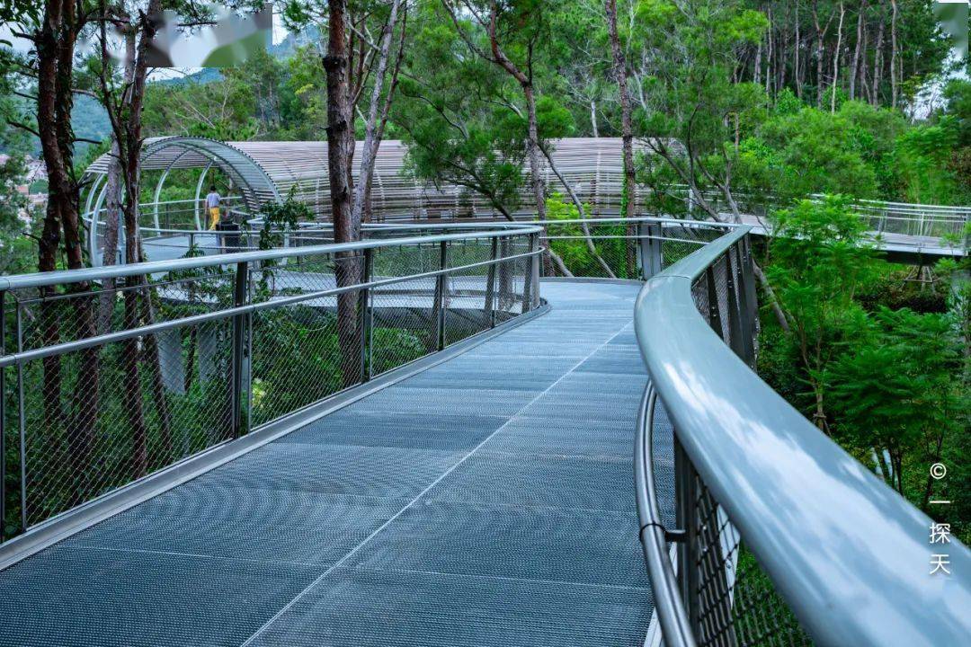 大v推荐 | 用脚步丈量厦门山海步道_厦门旅游网