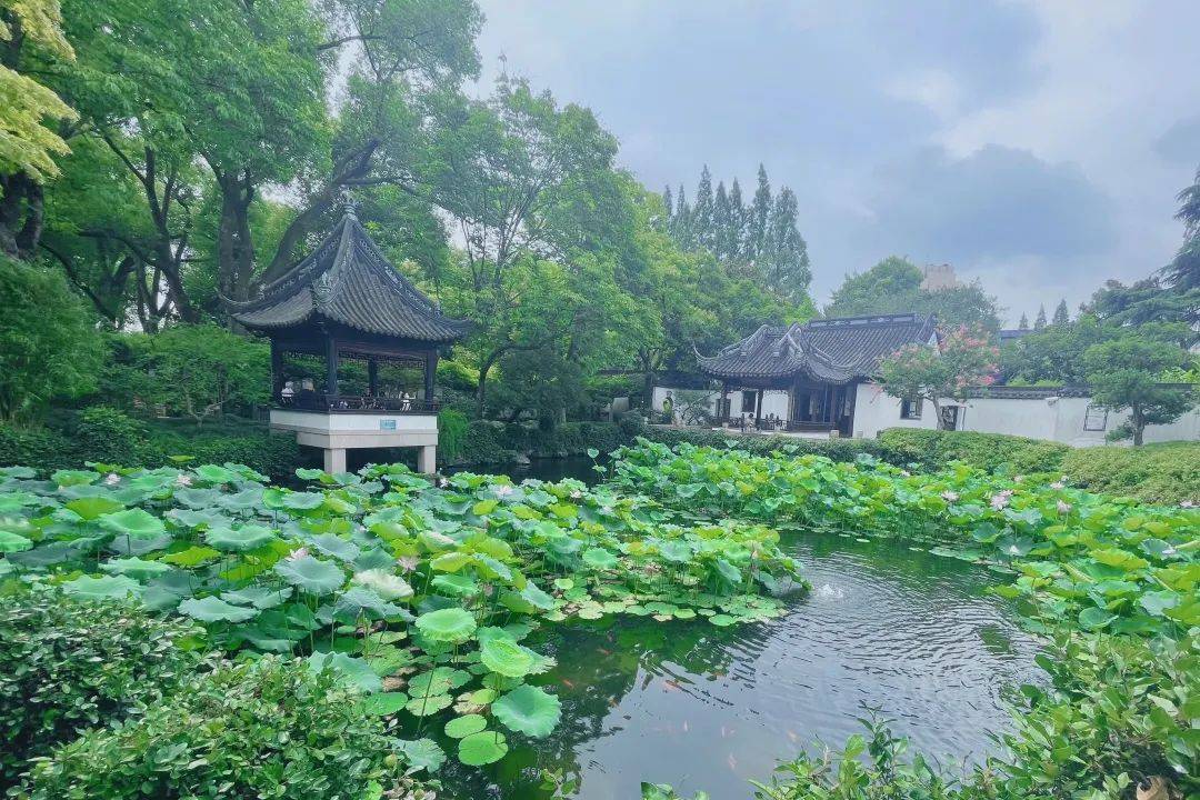 上海曲水园将于8月1日起实施免费开放，初建于清乾隆十年