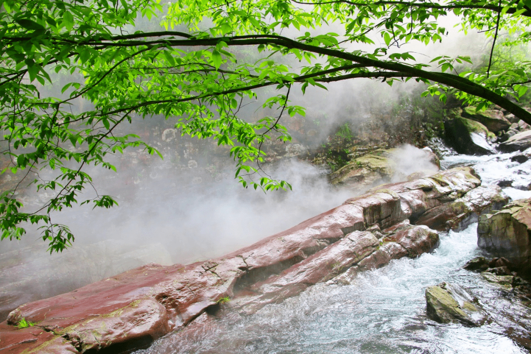 来石台仙寓山get18°清凉~_溪水_含量_景区