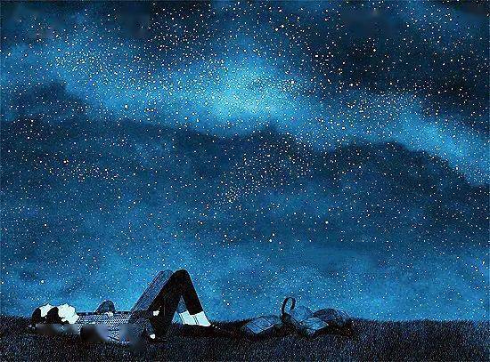 躺在草地上,仰望满天繁星,听着昆虫的草间歌唱,这真是一场美妙的夏夜