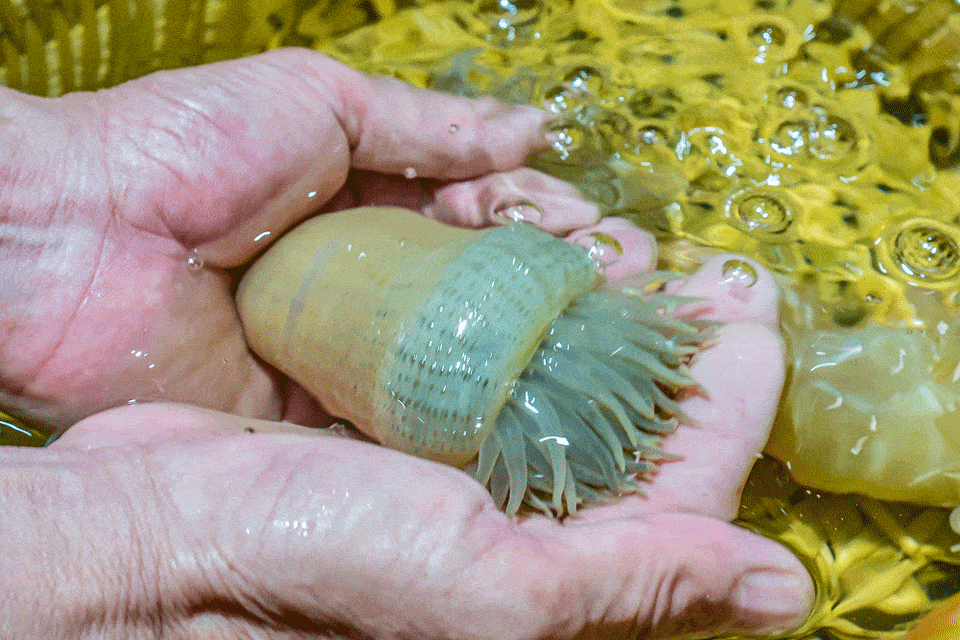 【台乡缘】外滩|这家台州菜天花板你吃过了吗!498元抢门市价1462元尊