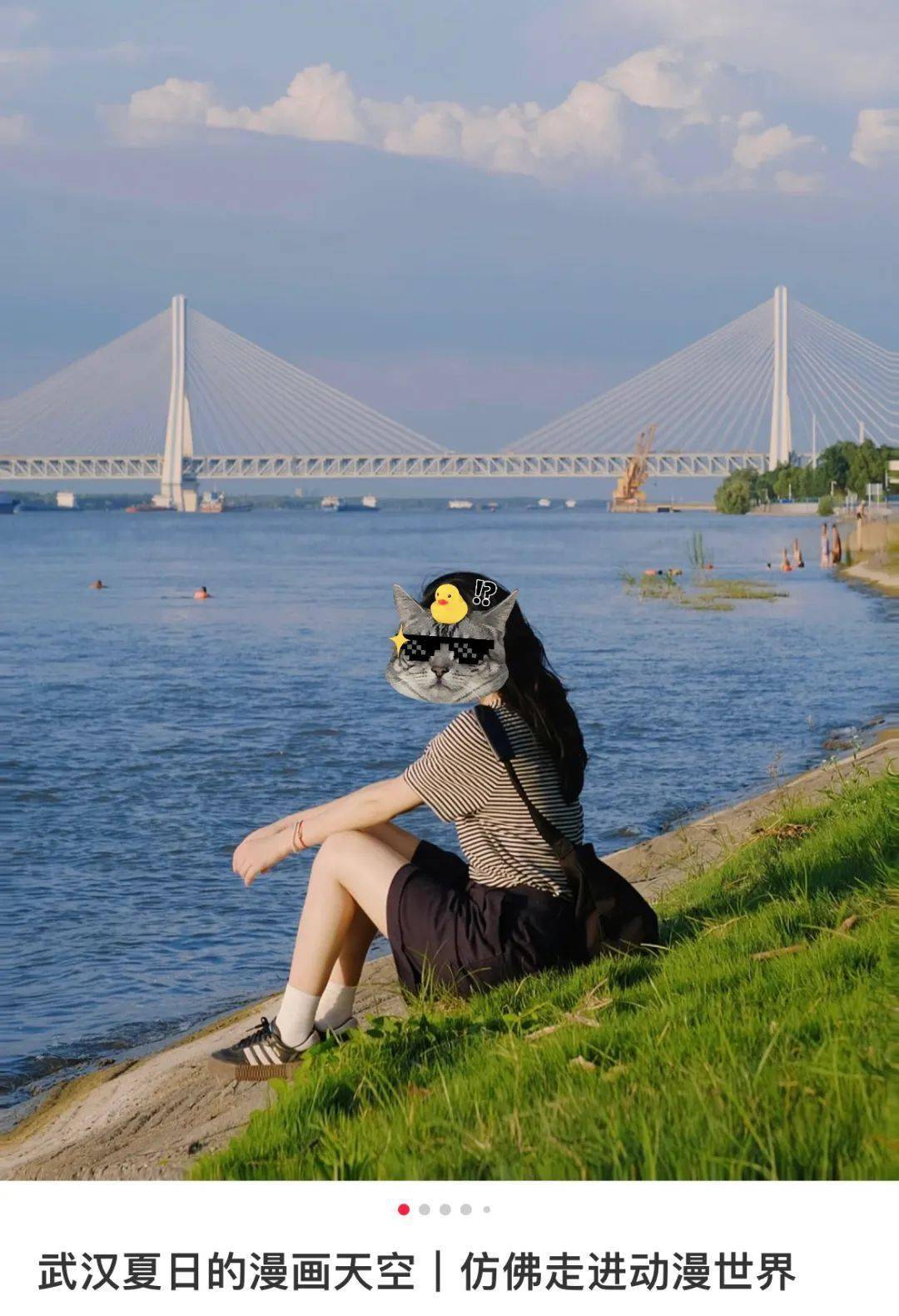 互联网的看海狂欢,给我看笑了_镰仓_大海_礁石