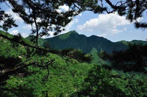 松山森林公園是松山自然保護區的一部分,位於北京市延慶區西北部,地處