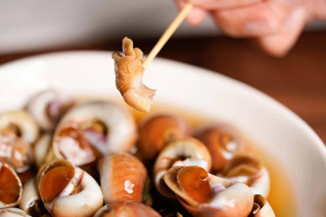 地道舟山醉香螺陈年花雕熟醉壳薄肉饱满清爽入味夏日神仙下酒菜