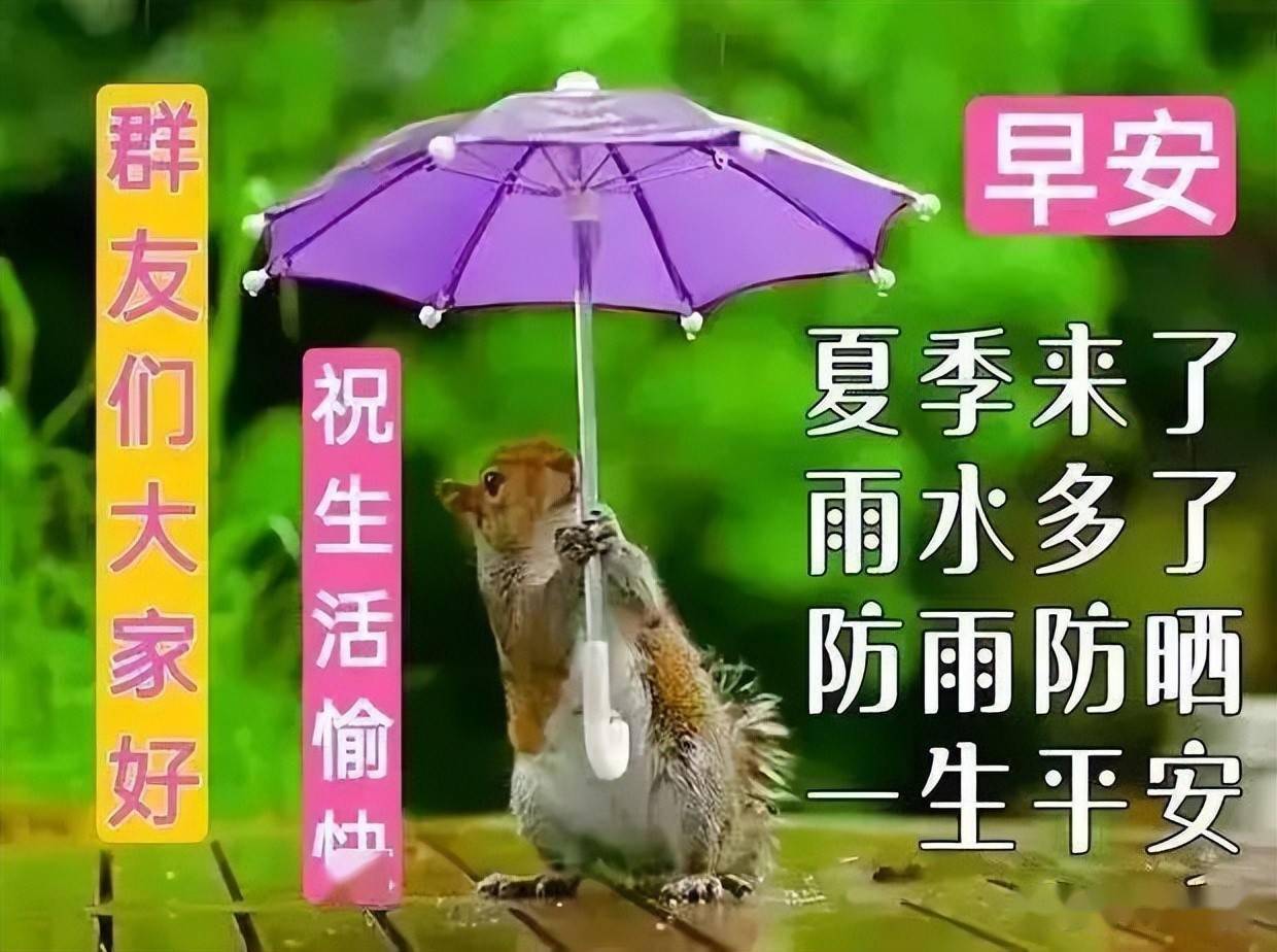 大暑最新早上好表情包大全暑天热祝福强我的祝愿带清凉