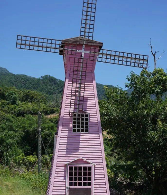 同安周末来这儿生态乐园清新果香体验凤梨采摘感受向往的生活