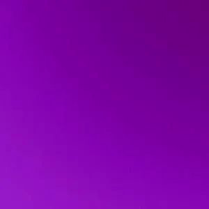 夫人_紫蒲_色彩