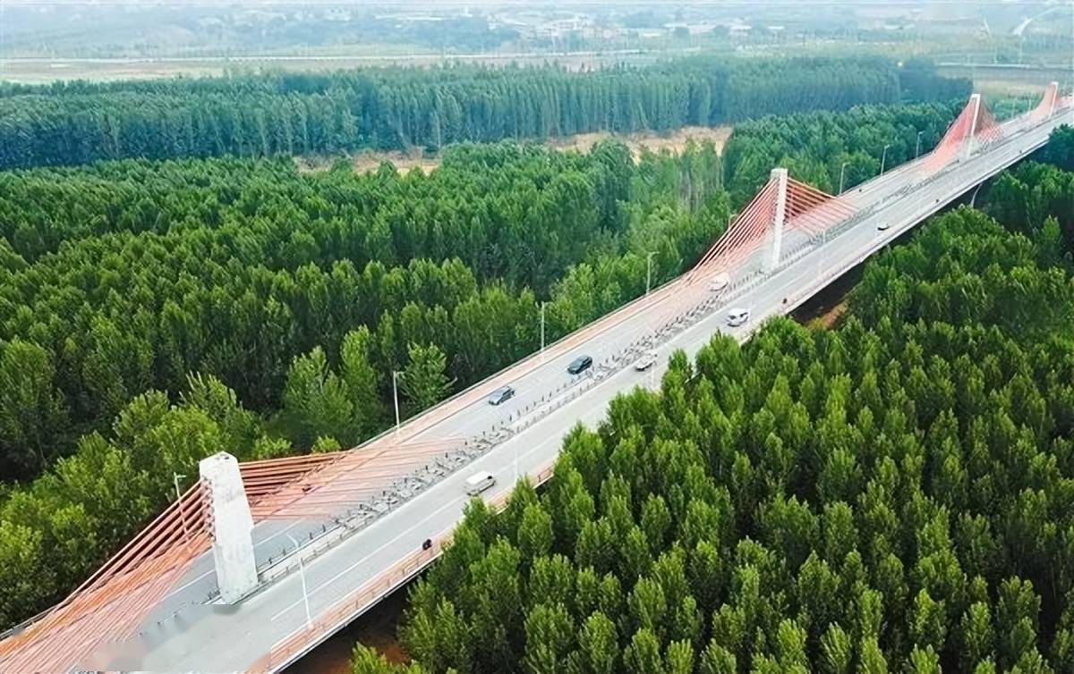 泾渭分明处 宛若画里行 生动图景正在这里重现_渭河_高陵_泾河