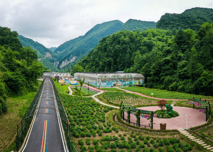 因路而兴 四川朝天打通“致富路”架起乡村振兴“高速路”