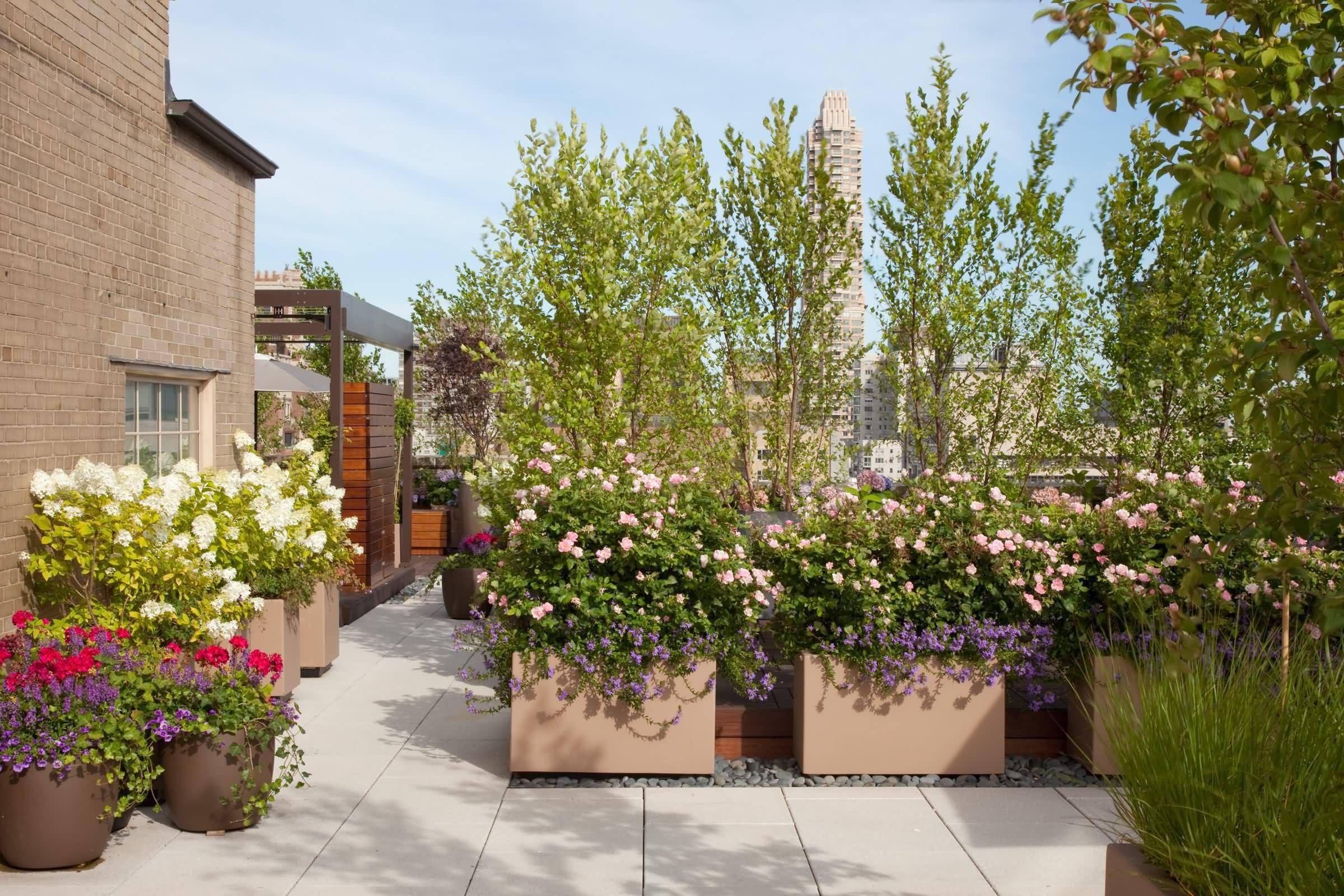 屋顶花园设计露台设计绿化景观设计合集图片参考资料79套