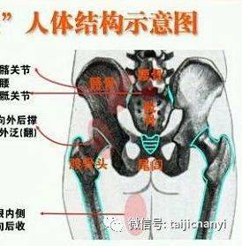 传统武术不轻传的练功诀窍—松尾闾的四步功诀_尾骨_功法_程度