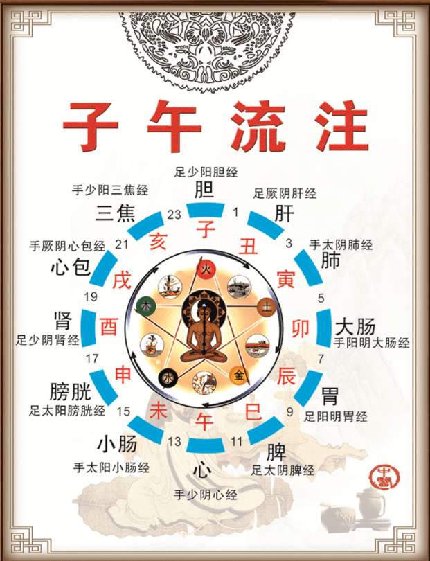 "流注"代表人体内气血运行的过程,如同自然界的水流一样,从子到午,从