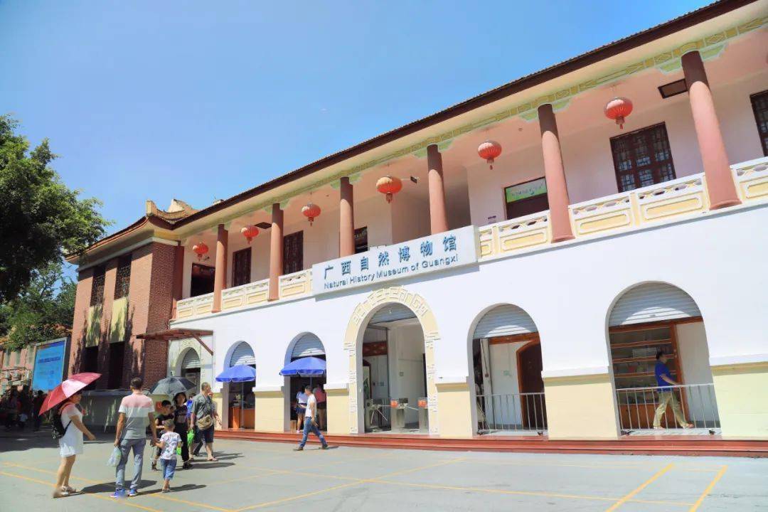 91day499广西自然博物馆探馆第四站第四天 | 穿越远古时代体会