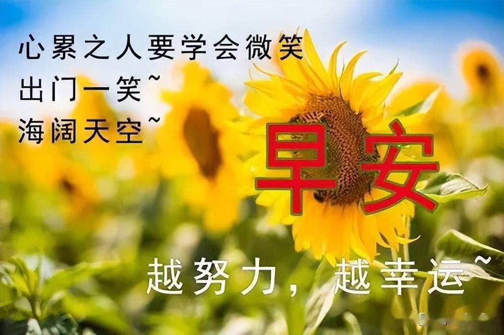 今天最新早安图片大全甄选连连的问候浓浓的思念