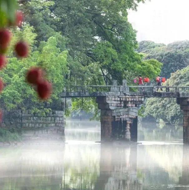 7月,我在莆田等你_兰溪_白鹭飞_荔枝