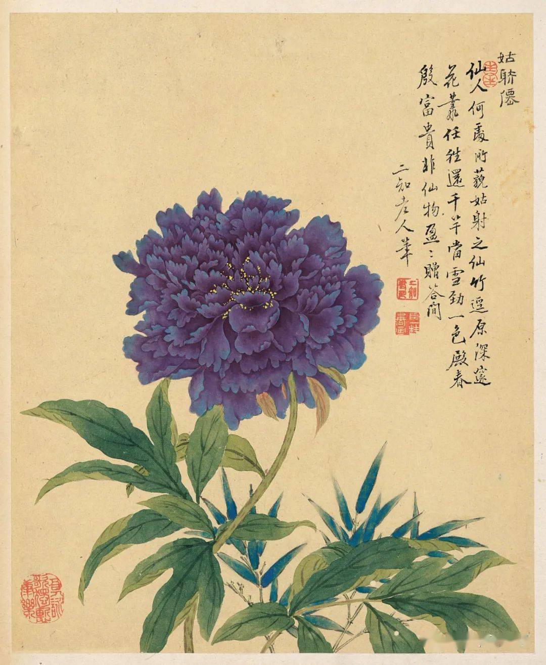 清鄒一桂畫花卉冊僧鞋菊- 故宮