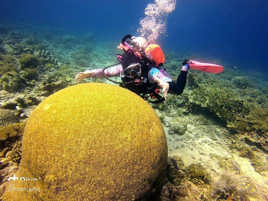 我用尽所有方式,想留住你水下最美的姿势._潜水_@herr_美人鱼