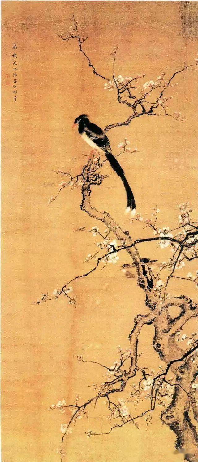 沈铨：清代江南第一高手，一幅《百鸟朝凤图》惊艳世人_搜狐网