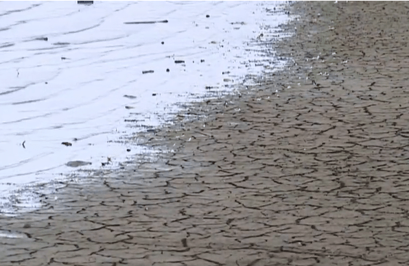 美国东部一水库因干旱接近消失 数百条鱼窒息死亡