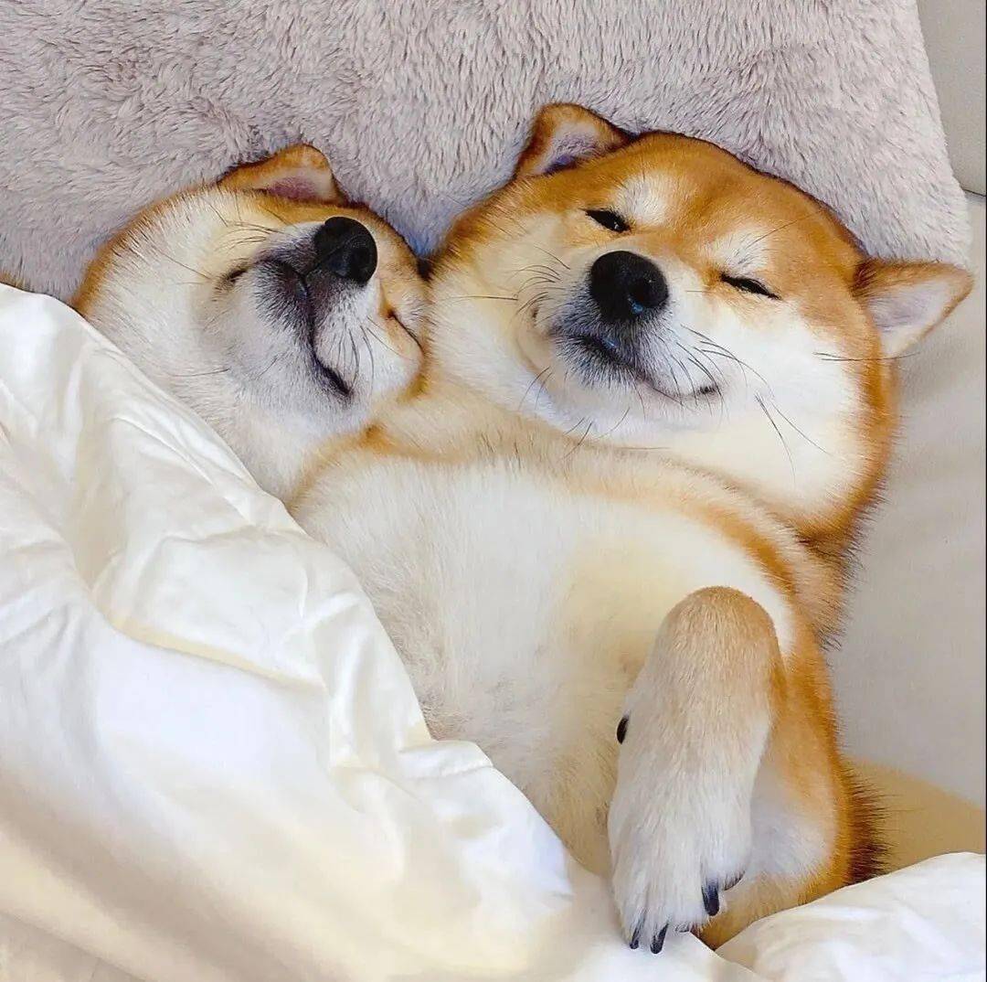 情头:等男人回消息是完蛋的第一步