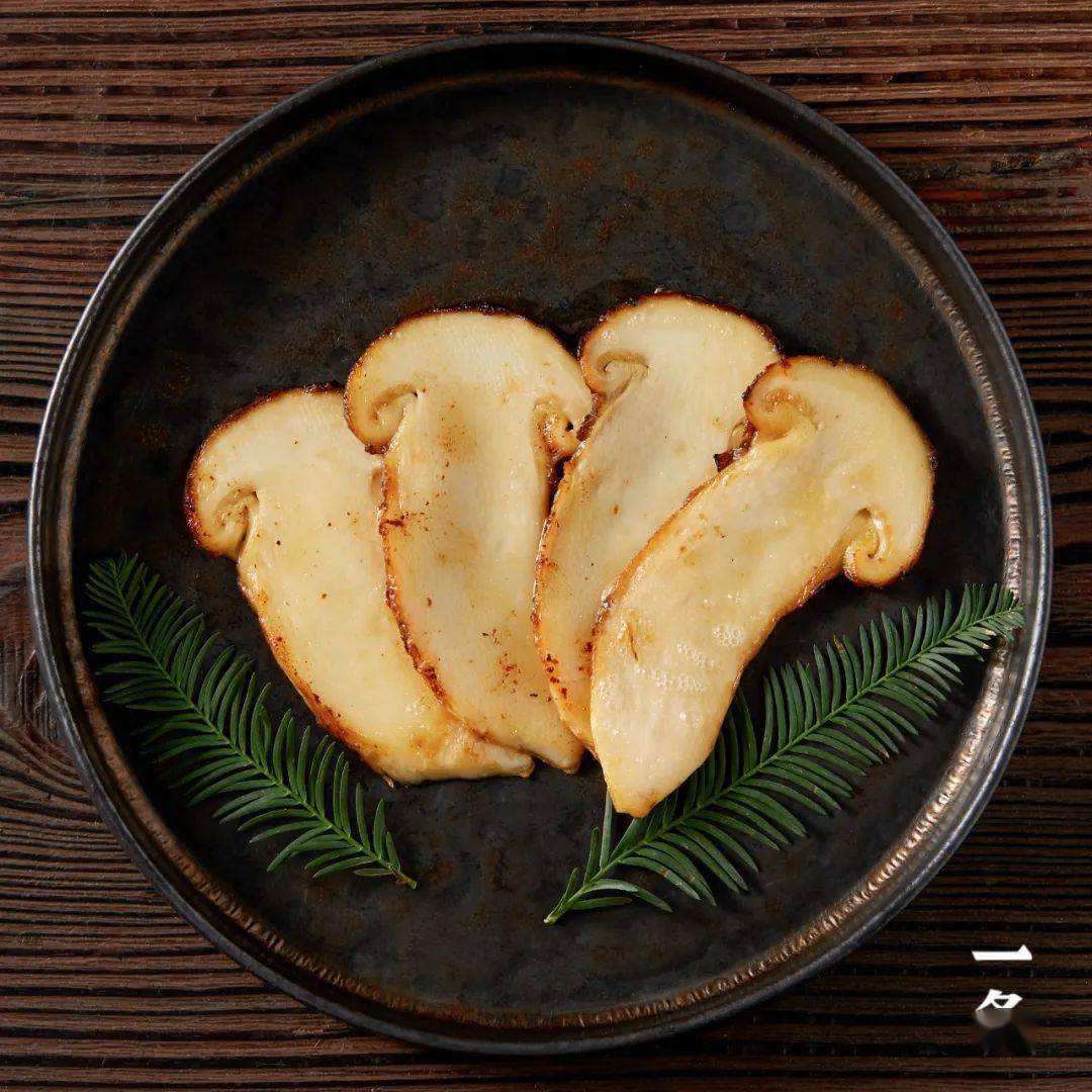 海拔2000米以上的野生鲜松茸,当季现采,冷链送到家_cm_口感_森林