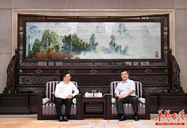 张庆伟会见王传福一行_比亚迪公司_发展_湖南