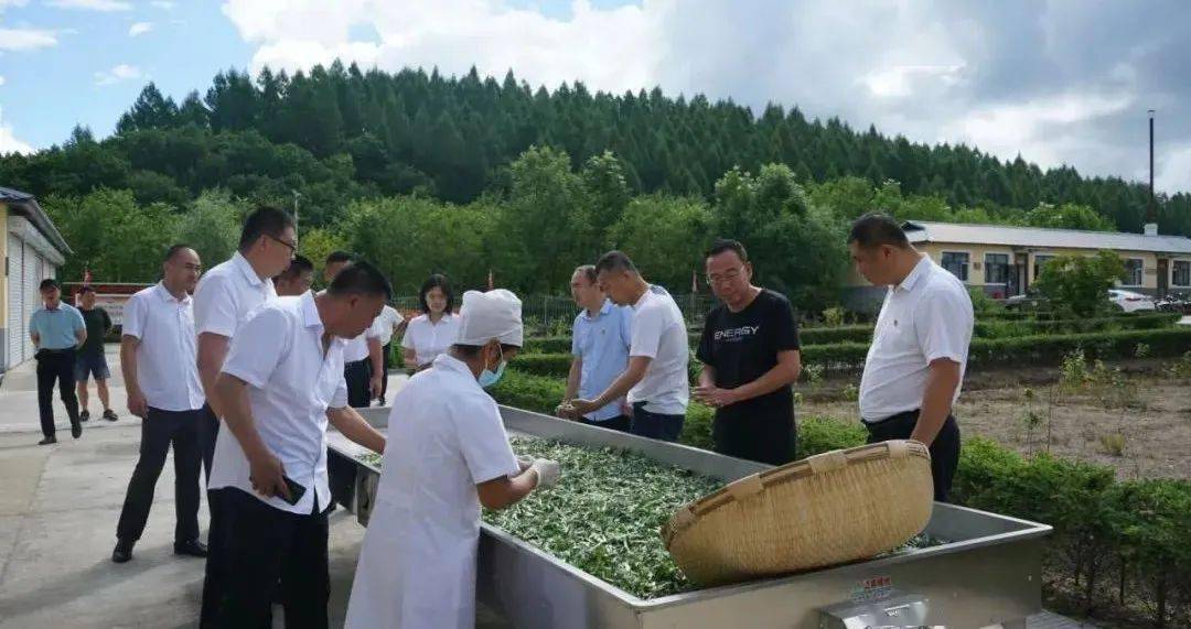 【山河要闻】开眼界 学经验 补短板 山河屯局组织考察组赴外地参观考察侧记（一）