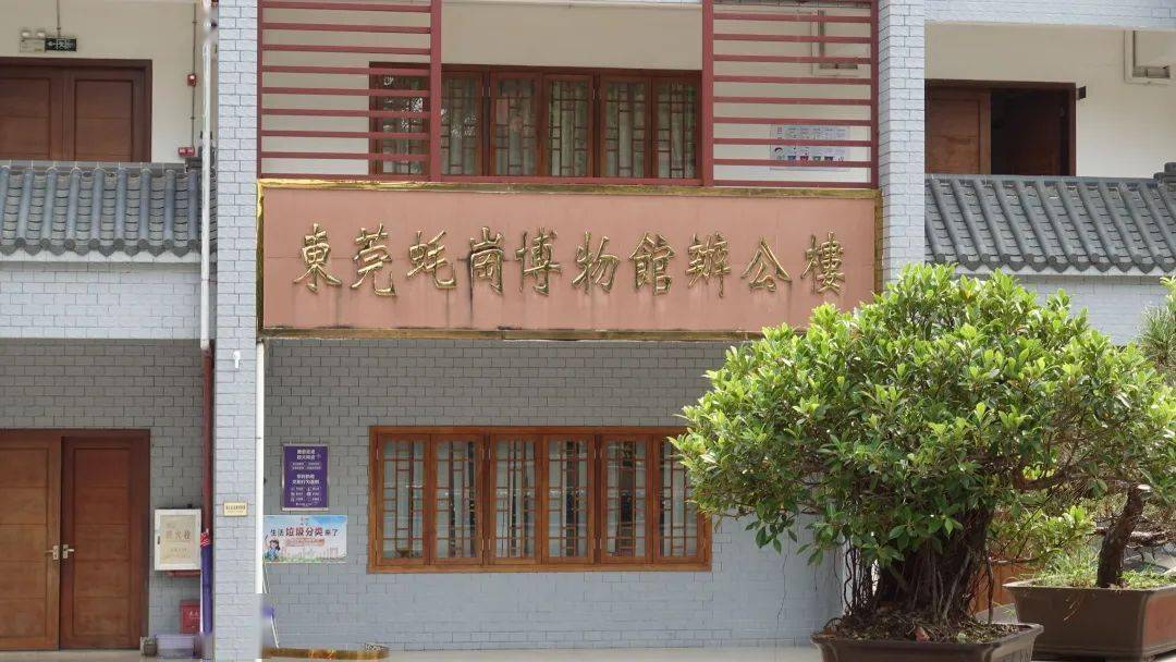 阅读| 东莞蚝岗遗址博物馆:千淘万漉虽辛苦,吹尽狂沙始到金_考古_文明