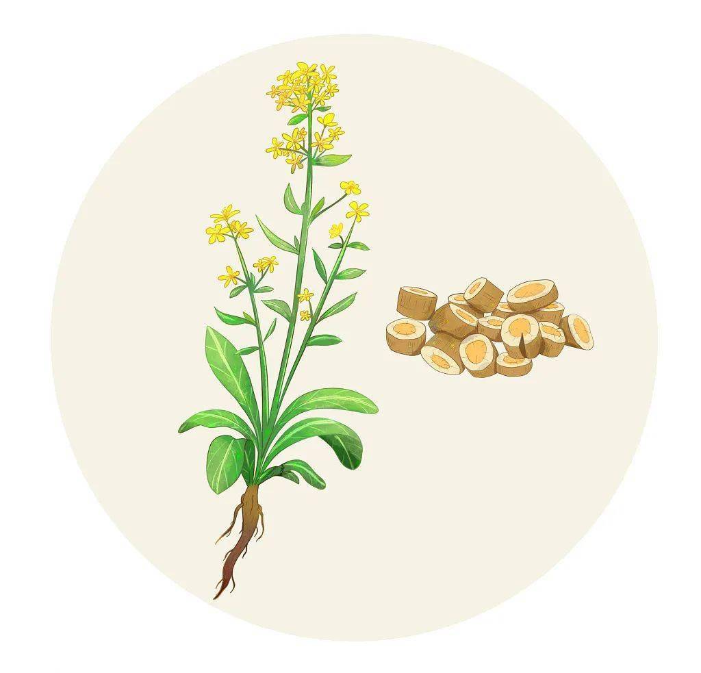 31本周日,植物染 刺子绣手作体验,留住自然草木之色_板蓝根_课程_核酸