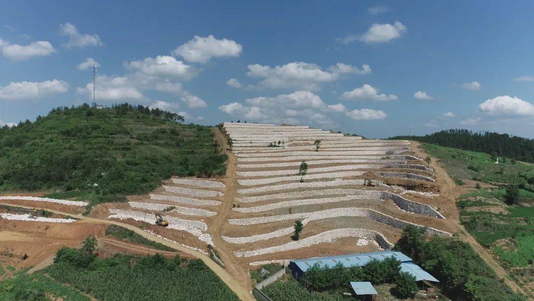 郧阳区小流域综合治理守护好一库碧水