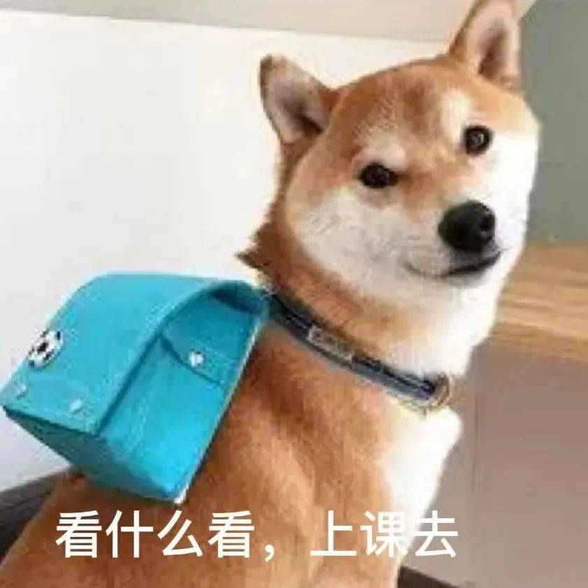 让你的假期成长的句子
