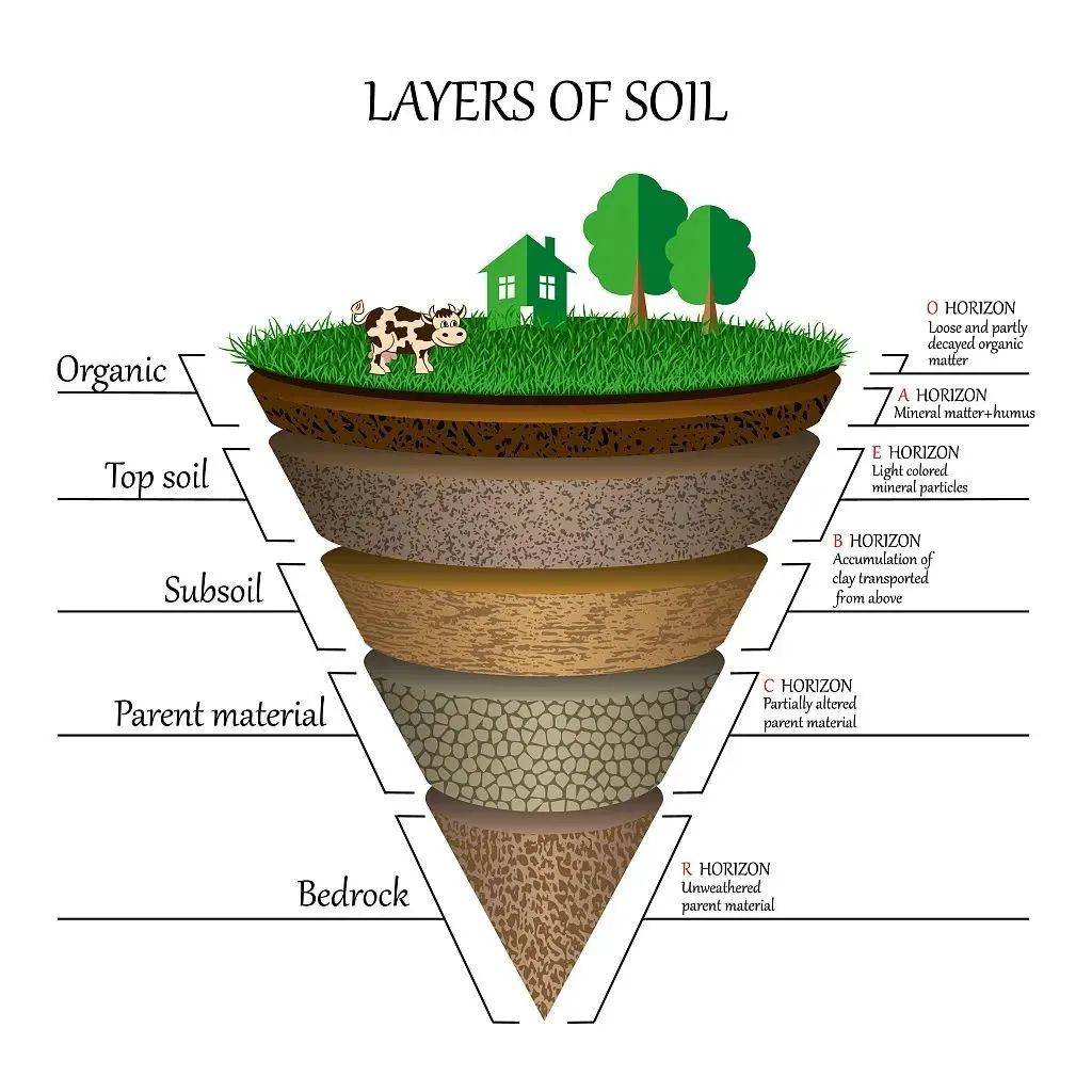 What Is The Definition Of Soil Horizon