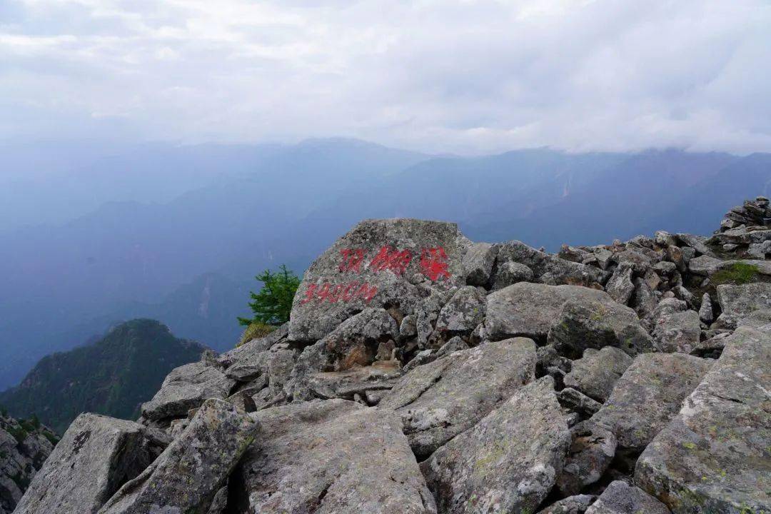 一路穿行到山樑之上,浩浩遠山,風霧遼遠,健步山野,腳下是秦嶺梁脊,梁