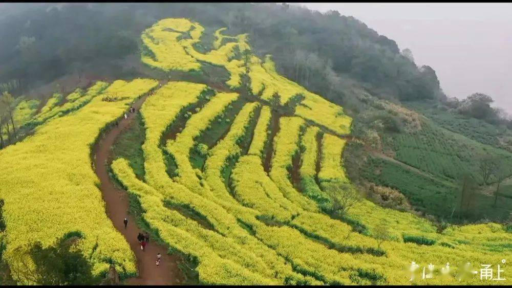 象山钱仓村图片