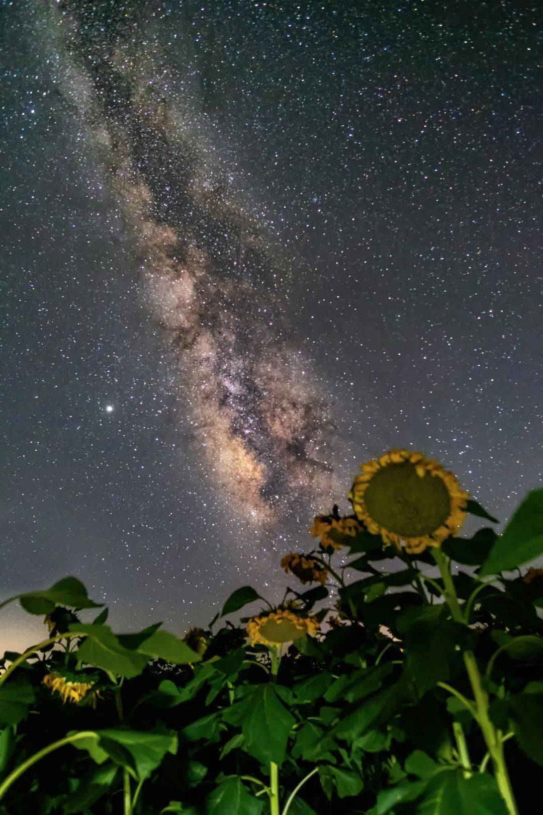 今夜和北航一起共揽星河