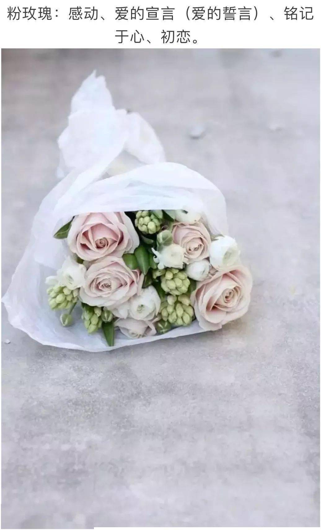 七夕送花 你不得不知的玫瑰花语 黄玫瑰 情人节 爱神