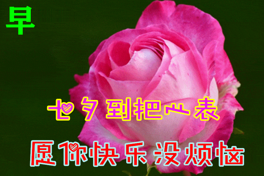 8月4日七夕早上好动态表情图片大全早晨好动图美图大全