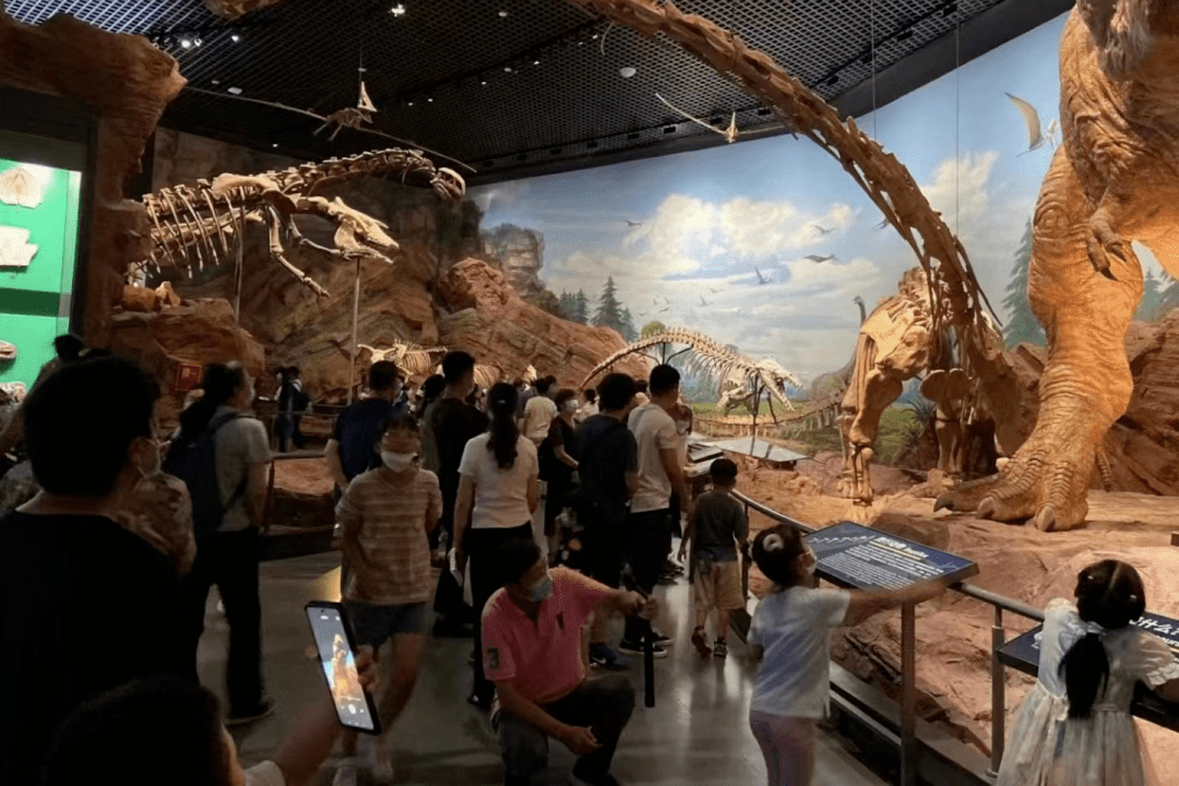 省运会 看玉溪｜澄江化石地世界自然遗产博物馆迎来暑期参观高峰