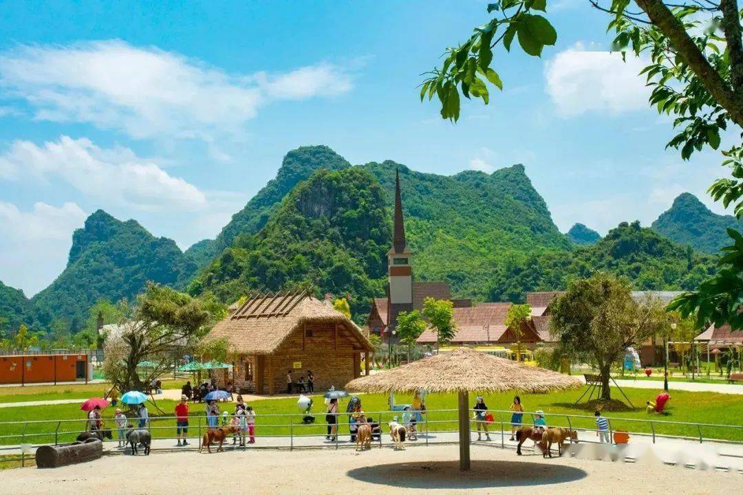 德保矮马王国景区 图/黄靖摄影靖西通灵大峡谷景区:靖西通灵大峡谷